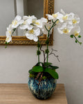 The Midnight Bloom