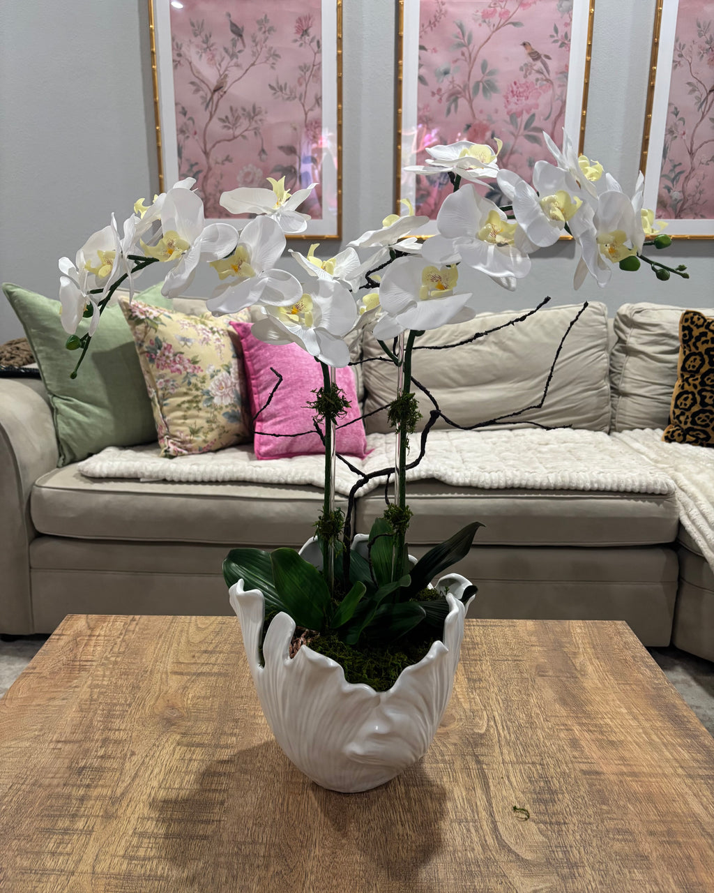 The Magnolia