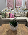 The Magnolia