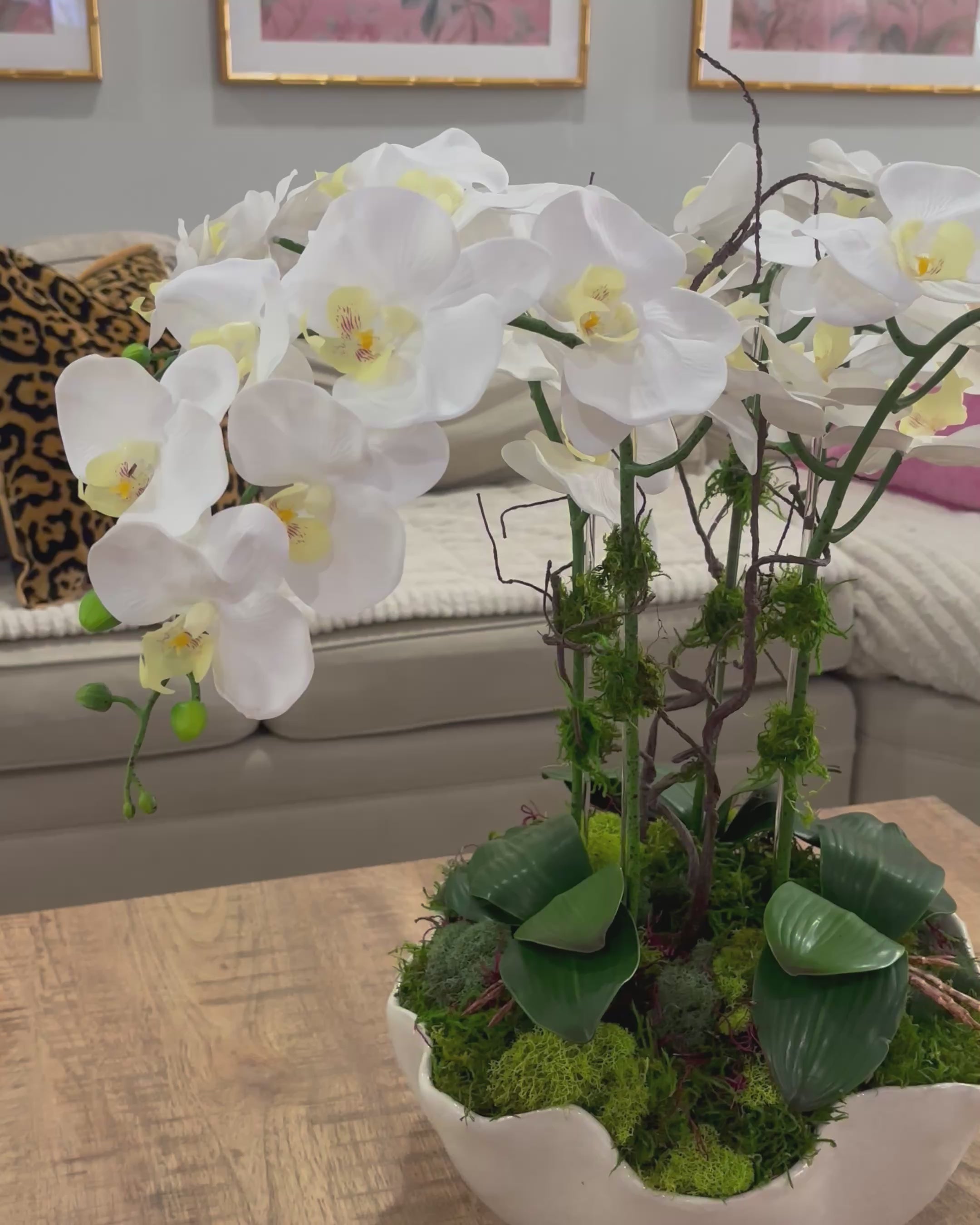 The Camillia