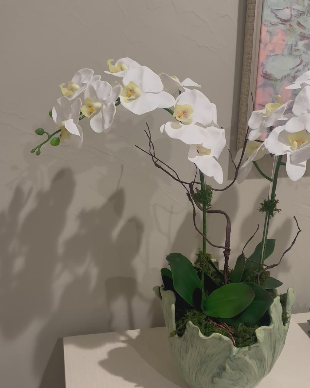 The Gardenia