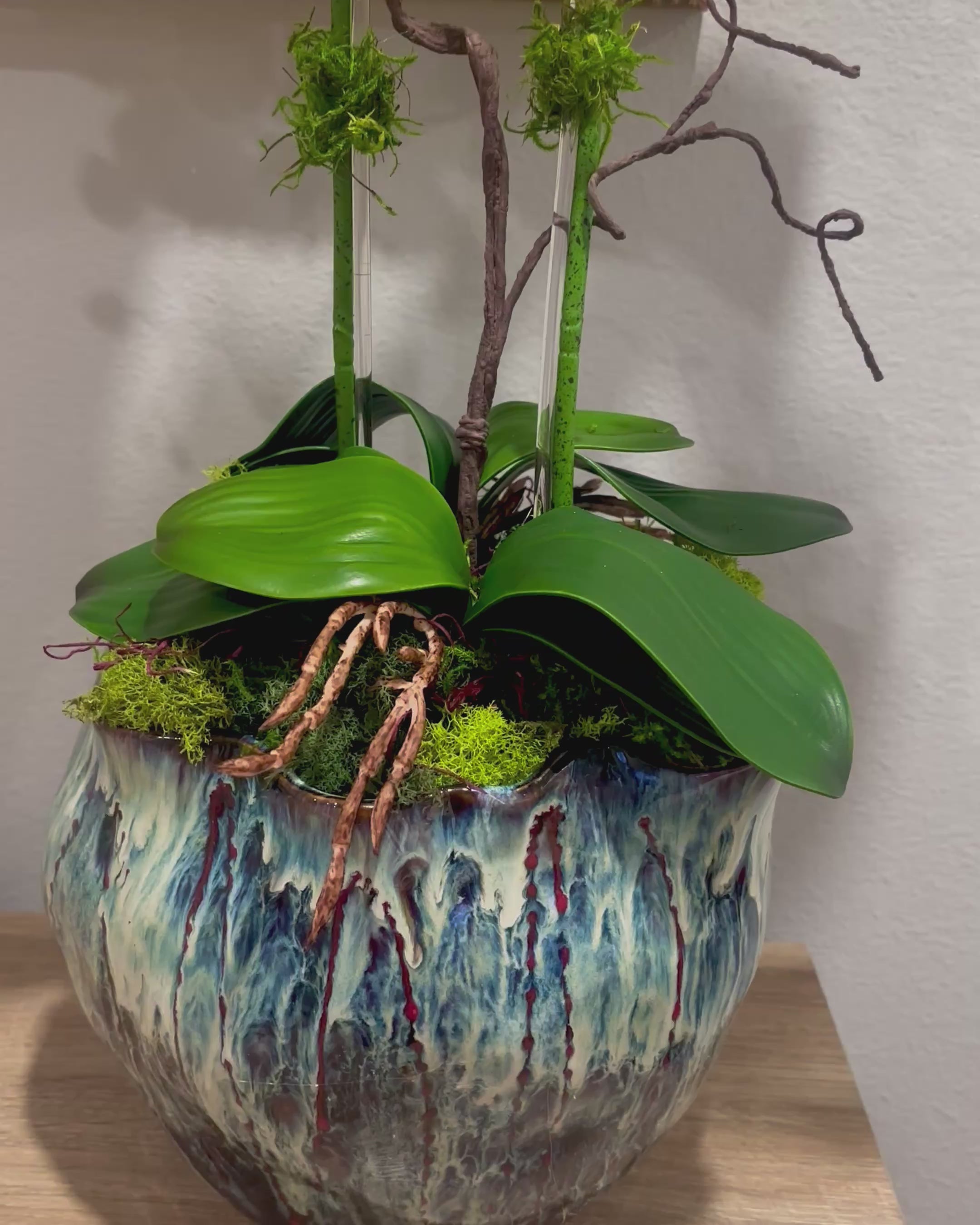 The Midnight Bloom